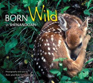 BornWildShenandoahCvr