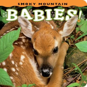 Smoky_Mtn__Babies_cover