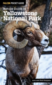front cover photo of Nature Guide to Yellowstone National Park